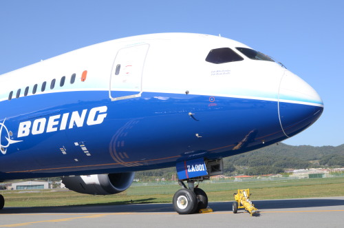 보잉 B787 드림라이너