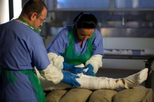 Channel Four viewers will see Alan Billis turned into a mummy over the space of a few months as his body is preserved using the techniques which the ancient Egyptians used on Tutankhamun. (AFP)