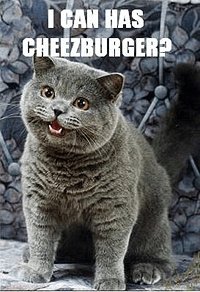 아이 캔 해즈 치즈버거? (I Can Has Cheezburger?)를 비롯, 50여개의 사이트를 운영 중인 한인 남성은 인터넷 업계의 샛별로 떠올랐다. 그는 11살의 나이에 미국으로 건너와 인터넷 커뮤니티로 연 400만달러(한화 약 46억원)의 수익을 올리고 있는 벤 허(33) 치즈버거 네트워크 대표. 최근 미국의 정보기술(IT) 전문지 PC월드는 그를 고(故) 스티브 잡스의 뒤를 이을 차세대 리더 중 한 명으로 꼽기도 했다. 잡스의 사망으로 IT업계의 이목이 젊은 인재들에게 쏠리는 가운데, 미국 시애틀에 있는 그와 e-메일 인터뷰를 가졌다.
