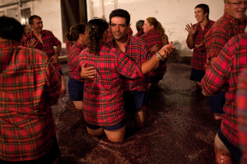<YONHAP PHOTO-2395> Grape-pickers dance while treading grapes in a traditional stone tank at Quinta do Vesuvio vineyard, Sept. 19 2011, near the village of Foz Coa, northern Portugal. After spending the day picking grapes on the slopes of the Douro Valley, in the evening the workers tread the grapes to be used in the production of Port wine. Port wine sales have been falling steadily since the turn of the century, jeopardizing the livelihoods and way of life of thousands of people along the Douro Valley. (AP Photo/Armando Franca)/2011-10-23 23:40:59/ <저작권자 ⓒ 1980-2011 ㈜연합뉴스. 무단 전재 재배포 금지.>
Grape-pickers dance while treading grapes in a traditional stone tank at Quinta do Vesuvio vineyard on Sept. 19 near the village of Foz Coa, northern Portugal.   AP-Yonhap News