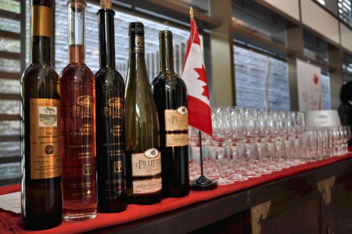 Pillitteri ice wines featured at Canadian Embassy on Tuesday.
(Yoav Cerralbo/The Korea Herald)