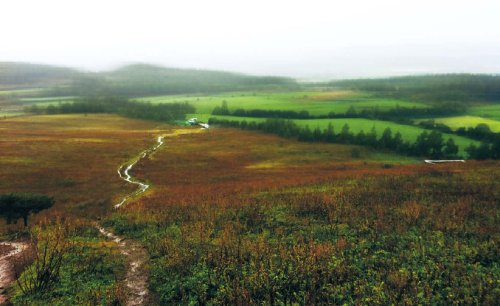 The view from the top of Aloreum, located on Jeju Island’s Olle trail route No. 1 (Claire Lee/The Korea Herald)