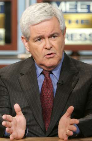 뉴트 깅리치 (Newt Gingrich
