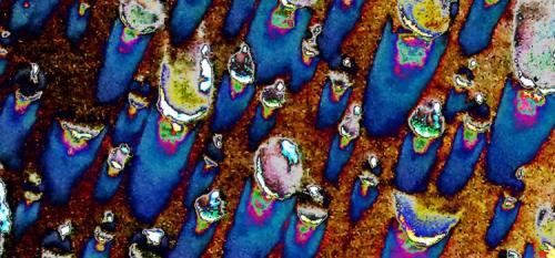 “Parallel Universes 019” (Sven Schelwach)
Sven Schelwach will show 20 abstract images in “The Parallel Universes” at Gallery Dongne in Seogye-dong, near Seoul Station, from Dec. 3.