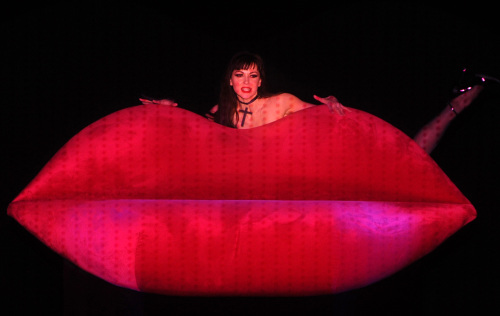 <YONHAP PHOTO-2402> (111201) -- TAIPEI, Dec. 1, 2011 (Xinhua) -- A dancer performs at the crazy horse show in Taipei, southeast China's Taiwan, Nov. 30, 2011. Founded in 1951, the avant-garde cabaret Crazy Horse Paris had a show here on Wednesday as part of its world cruise tour to celebrate its 60th anniversary. (Xinhua/Jin Liangkuai) (cxy)/2011-12-01 23:06:53/ <저작권자 ⓒ 1980-2011 ㈜연합뉴스. 무단 전재 재배포 금지.>\r\n<YONHAP PHOTO-2402> (111201) -- TAIPEI, Dec. 1, 2011 (Xinhua) -- A dancer performs at the crazy horse show in Taipei, southeast China's Taiwan, Nov. 30, 2011. Founded in 1951, the avant-garde cabaret Crazy Horse Paris had a show here on Wednesday as part of its world cruise tour to celebrate its 60th anniversary. (Xinhua/Jin Liangkuai) (cxy)/2011-12-01 23:06:53/ <저작권자 ⓒ 1980-2011 ㈜연합뉴스. 무단 전재 재배포 금지.>