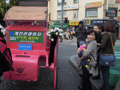 A horse carriage waits for passengers by Cheonggyecheon in Seoul, bearing a sign with different prices for “families” and “foreigners.”
Paul Kerry/The Korea Herald