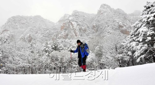 전국에 한파가 몰아치고 강원도 영동지역에 많은 눈이 내린 9일 오전 강원도 양양군 한계령에서 한겨울 정취에 파묻혀 있다. <br />한계령= 김명섭 기자 msiron@\r\n전국에 한파가 몰아치고 강원도 영동지역에 많은 눈이 내린 9일 오전 강원도 양양군 한계령에서 한겨울 정취에 파묻혀 있다. \n한계령= 김명섭 기자 msiron@