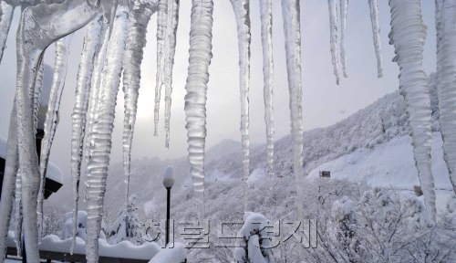 전국에 한파가 몰아치고 강원도 영동지역에 많은 눈이 내린 9일 오전 강원도 양양군 한계령에 고드름과 눈으로 한겨울 풍경을 자아내고 있다.<br />한계령= 김명섭 기자 msiron@\r\n전국에 한파가 몰아치고 강원도 영동지역에 많은 눈이 내린 9일 오전 강원도 양양군 한계령에 고드름과 눈으로 한겨울 풍경을 자아내고 있다.\n한계령= 김명섭 기자 msiron@