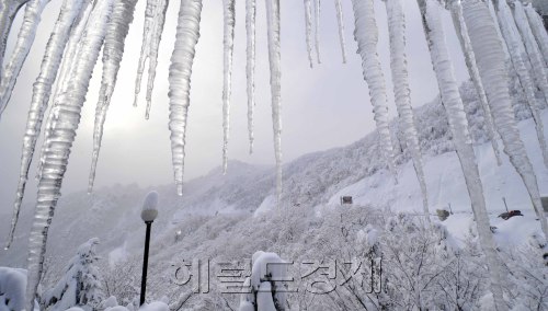 전국에 한파가 몰아치고 강원도 영동지역에 많은 눈이 내린 9일 오전 강원도 양양군 한계령에 고드름과 눈으로 한겨울 풍경을 자아내고 있다.<br />한계령= 김명섭 기자 msiron@\r\n눈꽃이 피고, 고드름이 얼어붙었다. 전국에 한파가 몰아친 9일 강원도 영동지방에는 큰 눈이 내려 교통이 통제되기도 했다. 강원도 양양군 한계령이 눈에 뒤덮여 온통 하얗게 변했다. 　한계령= 김명섭 기자/msiron@heraldm.com