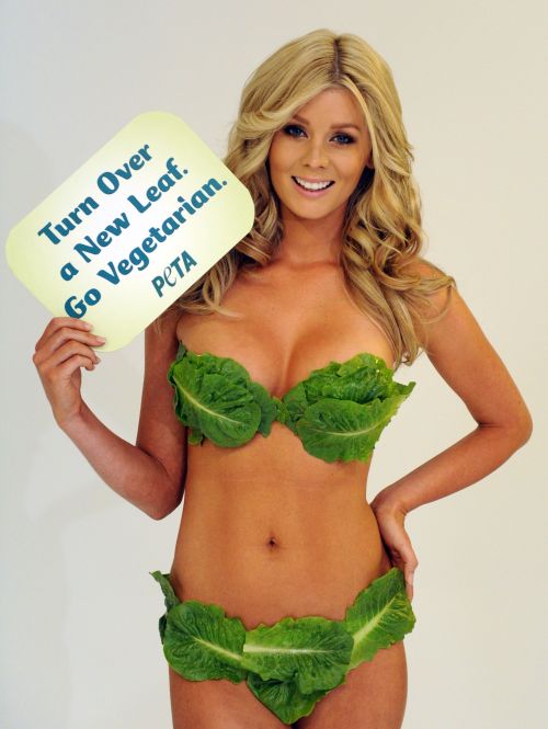 <YONHAP PHOTO-0059> TOPSHOTS Australian lingerie model Sheridyn Fisher wears only lettuce leaves for the new ad for People for the Ethical Treatment of Animals (PETA) in Sydney on December 13, 2011. Fisher, a vegetarian, urges people to embrace a healthy and humane meatless diet. AFP PHOTO / Torsten BLACKWOOD /2011-12-14 00:34:11/ <저작권자 ⓒ 1980-2011 ㈜연합뉴스. 무단 전재 재배포 금지.>\r\n<YONHAP PHOTO-0059> TOPSHOTS Australian lingerie model Sheridyn Fisher wears only lettuce leaves for the new ad for People for the Ethical Treatment of Animals (PETA) in Sydney on December 13, 2011. Fisher, a vegetarian, urges people to embrace a healthy and humane meatless diet. AFP PHOTO / Torsten BLACKWOOD /2011-12-14 00:34:11/ <저작권자 ⓒ 1980-2011 ㈜연합뉴스. 무단 전재 재배포 금지.>