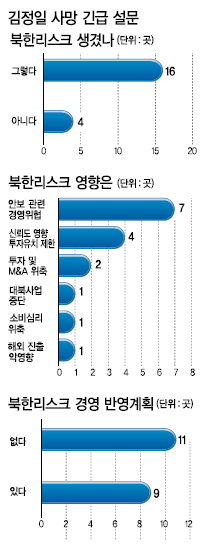 김정일 사망/ <김정일 사망>코리아 프리미엄 물거품 위기…‘北風’시나리오 경영 돌입