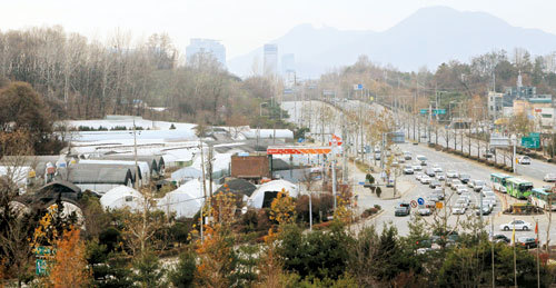 지난 5월 5차 보금자리주택지구로 지정된 과천시 갈현동 일대 그린벨트 / 박근혜 지역구ㆍ보금자리ㆍ평창동계올림픽 후보지 땅값 강세...그린벨트 토지거래량 전년동월비 45%↑-난개발 우려 현실화