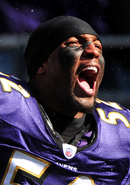 <YONHAP PHOTO-1498> Baltimore Ravens' Ray Lewis is introduced prior to the Ravens game against the Arizona Cardinals at M&T Bank Stadium in Baltimore on October 30, 2011. UPI/Kevin Dietsch/2011-12-14 14:47:38/ <저작권자 ⓒ 1980-2011 ㈜연합뉴스. 무단 전재 재배포 금지.>
Baltimore Ravens All-Pro linebacker Ray Lewis      UPI-Yonhap News
