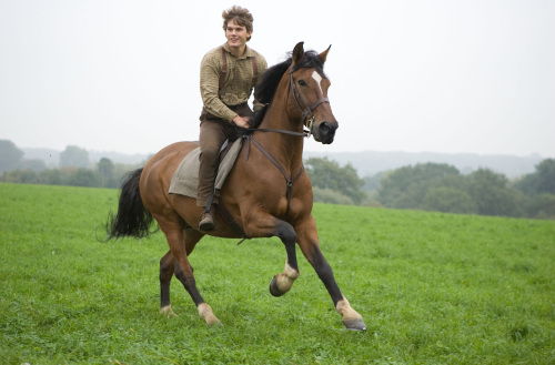 Albert Narracott (Jeremy Irvine) joyfully rides atop his beloved horse, Joey in DreamWorks Pictures’ “War Horse,” director Steven Spielberg’s epic adventure and an unforgettable odyssey through courage, friendship, discovery and wonder. (DreamWorks Pictures/MCT)