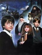 영화/해리포터해리포터 (Harry Potter) / ‘해리포터’ 대학 강의로 개설…‘해리포터로 유전학을 가르친다’