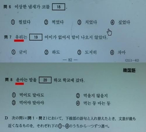 소녀시대  한류