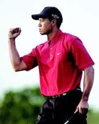 타이거 우즈 (Tiger Woods), 골퍼(미국)/ 우즈 등 세계톱랭커 26일부터 아부다비서 빅매치