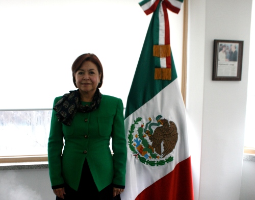 Mexican ambassador Martha Oritz de Rosas stands next to her national flag at her embassy. (Kirsty Taylor/The Korea Herald)