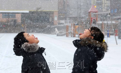 <포토뉴스>눈 내리는 초등학교엔