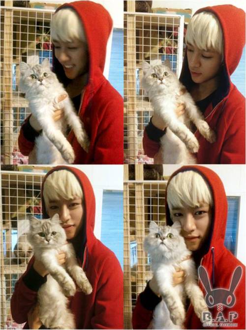 대현, 가수(B.A.P)/비에이피 대현, 고양이와 외모 대결 ‘승자는 누구?’