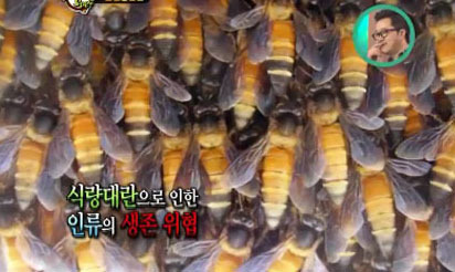2012 지구 멸망…‘행성 충돌설’부터  ‘꿀벌 멸종’까지