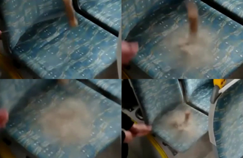 먼지 폭탄 버스 좌석 ‘경악’