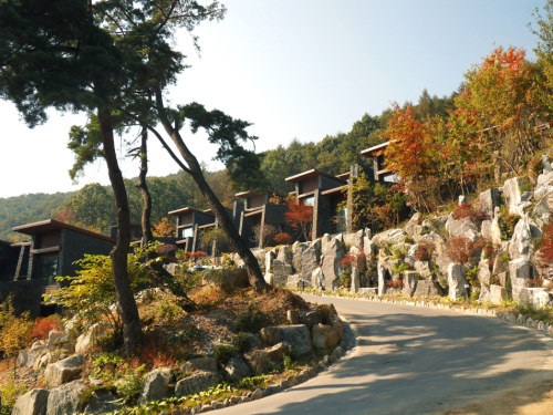 리솜포레스트 전경 / 충북에 불어오는 ‘산림밸리’ 열풍, 준비된 제천 리솜포레스트 선두