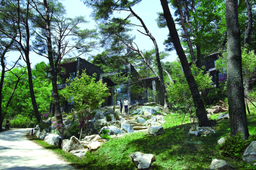 리솜포레스트(최종) / 충북에 불어오는 ‘산림밸리’ 열풍, 준비된 제천 리솜포레스트 선두