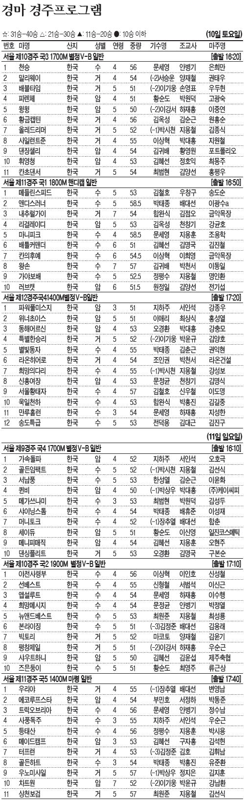 경마/출주표