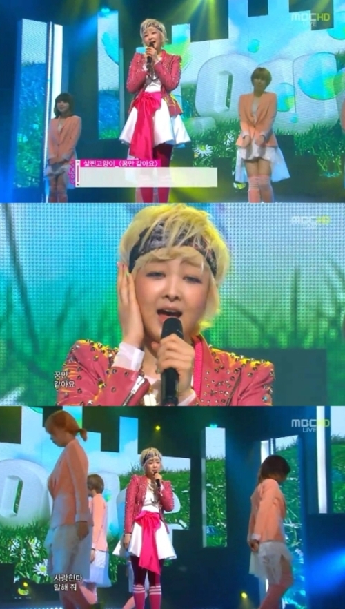 살찐고양이  가수/ ‘음중’ 살찐고양이, 봄 기운 가득한 무대 ‘상큼’