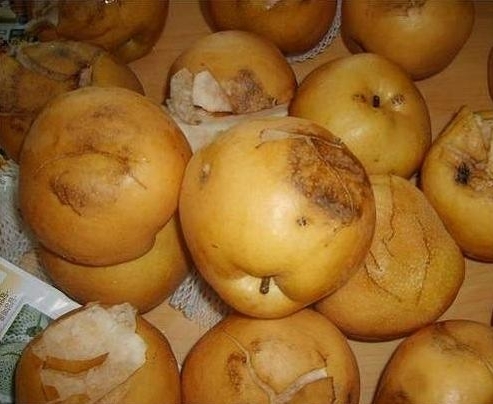 집에 불량배가 들어왔는데요…긴급상황? 반전의 극치