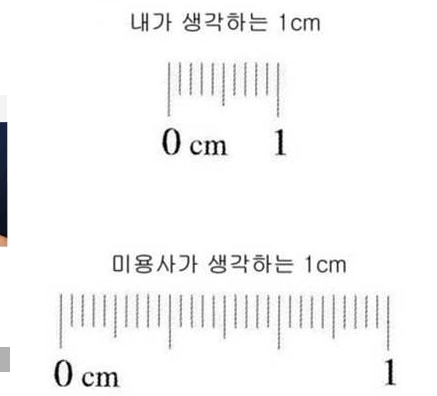 미용사 1cm …“내 생각보다 3배, 네티즌 공감 100%”