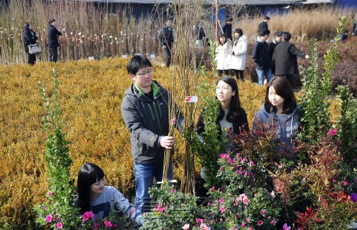 산림조합중앙회가 13일 오전 경기도 하남시 감일동 나무전시판매장을 개장해 시민들이 나무를 구경하고 있다. 산림조합은 나무심기기간(3.1~4.30) 및 제67회 식목일을 맞이하며 전국 132개소에서 각종 나무를 중간유통과정 없이 소비자에게 저렴하게 판매한다. 박해묵 기자/mook@heraldm.com\r\n산림조합중앙회가 13일 오전 경기도 하남시 감일동 나무전시판매장을 개장해 시민들이 나무를 구경하고 있다. 산림조합은 나무심기기간(3.1~4.30) 및 제67회 식목일을 맞이하며 전국 132개소에서 각종 나무를 중간유통과정 없이 소비자에게 저렴하게 판매한다. 박해묵 기자/mook@heraldm.com\r\n산림조합중앙회가 13일 오전 경기도 하남시 감일동 나무전시판매장을 개장해 시민들이 나무를 구경하고 있다. 산림조합은 나무심기기간(3.1~4.30) 및 제67회 식목일을 맞이하며 전국 132개소에서 각종 나무를 중간유통과정 없이 소비자에게 저렴하게 판매한다. 박해묵 기자/mook@heraldm.com\r\n경기도 하남시 감일동에 13일 문을 연 나무전시판매장에서 시민들이 각종 나무를 고르고 있다. 산림조합중앙회는 나무심기기간(3.1~4.30) 및 제67회 식목일을 맞이해 전국 132곳에서 각종 나무를 중간 유통과정 없이 싸게 판매한다.  박해묵 기자/mook@heraldm.com