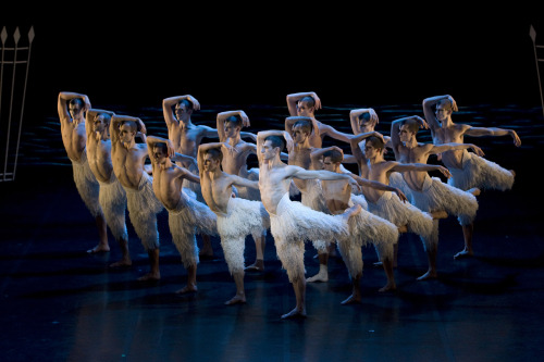 <YONHAP PHOTO-0106> In this Dec. 15, 2009 publicity image released by Matthew Bourne's Swan Lake, the cast is shown from "Matthew Bourne's Swan Lake." Bourne's testosterone-heavy flock, presented in 3-D, swoops in to some 220 theaters nationwide on Tuesday. (AP Photo/Matthew Bourne's Swan Lake, Bill Cooper)/2012-03-17 06:18:51/ <저작권자 ⓒ 1980-2012 ㈜연합뉴스. 무단 전재 재배포 금지.>
The cast from “Matthew Bourn’s Swan Lake” is shown in this Dec. 15, 2009 publicity image.  AP-Yonhap News