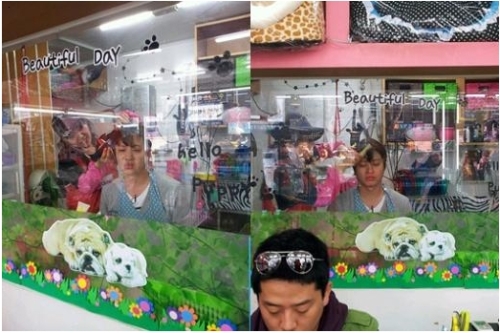 유상무(개그맨)\r\n개그맨 유상무가 애견샵에서 머리를 손질 받아 화제를 모으고 있다.\r\n유상무는 18일 오후 자신의 미투데이에 “애견샵에서 머리 깎아 보신 분? 개머리로 변신하고 있어요!”라는 글과 함께 “연예인 협찬 해주는 애견?! 시추스타일로 샤기컷!”이라는 글을 연달아 게재하며 사진 2장을 공개했다.