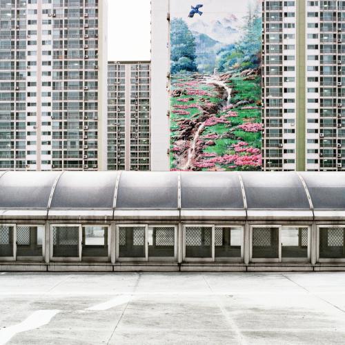 A photo from the “Urban Nature” series shows a mural near Namyangju Station in Gyeonggi Province. (Nils Clauss)