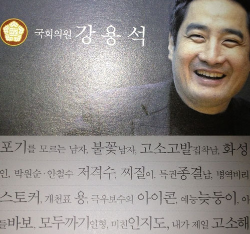강용석(국회의원,변호사)\r\n4.11총선에서 마포 을 지역 무소속으로 출마하는 강용석 후보의 독특한 선거 홍보 전단지가 눈길을 끈다. 　