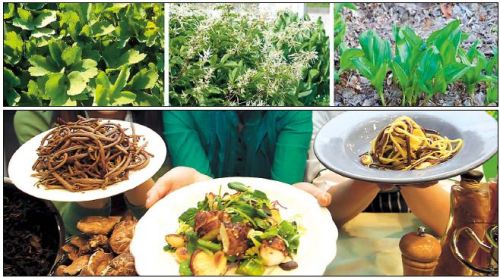 Spring vegetables can help boost the immune system. Yonhap News