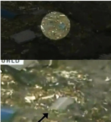 쓰나미 영상 괴생명체