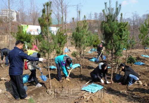 지난해부터 강동 아름숲 살리기 프로젝트를 진행중인 강동구는 식목일을 맞아 5일 오전 강동구소재 상일동 산 50-3번지에서 강동구직원등 100여명이 참가한 가운데 나무를 심고 있다. 0.1ha면적에 소나무외 6종 총 1,930주를 심을 예정이다.<br />이상섭 기자. babtong@heraldm.com 2012.04.05
지난해부터 강동 아름숲 살리기 프로젝트를 진행중인 강동구는 식목일을 맞아 5일 오전 강동구소재 상일동 산 50-3번지에서 강동구직원등 100여명이 참가한 가운데 나무를 심고 있다. 0.1ha면적에 소나무외 6종 총 1,930주를 심을 예정이다.
이상섭 기자. babtong@heraldm.com 2012.04.05
강동구 공무원들이 5일 식목일을 맞아 상일동 산 50-3번지에서 소나무를 심고 있다. 이날 강동구 직원 등 100여명아 참여해 아름숲 살리기 프로젝트의 일환으로 소나무 등 총 1930주를 심게 된다. 이상섭 기자/babtong@
