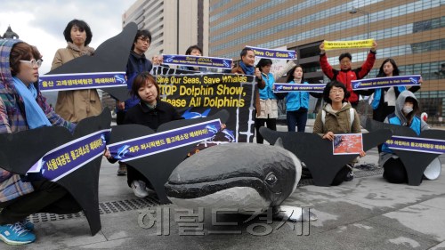환경운동연합 바다위원회와 서울환경연합, 동물자유연대등은 6일 오전 서울 광화문광장 이순신동상 앞에서 전국의 돌고래장을 폐쇄하고 돌고래를 바다로 돌려보낼것을 골자로한 기자회견을 가졌다.<br />이상섭 기자. babtong@heraldm.com 2012.04.06
환경운동연합 바다위원회와 서울환경연합, 동물자유연대등은 6일 오전 서울 광화문광장 이순신동상 앞에서 전국의 돌고래장을 폐쇄하고 돌고래를 바다로 돌려보낼것을 골자로한 기자회견을 가졌다.
이상섭 기자. babtong@heraldm.com 2012.04.06
환경운동연합 바다위원회와 서울환경연합, 동물자유연대 등이 6일 오전 서울 광화문 광장에서 전국 돌고래장을 폐쇄하고 돌고래를 바다로 돌려보내자는 내용의 기자회견을 가졌다.  이상섭 기자/babtong@