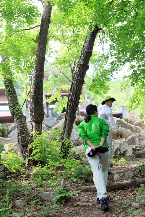 산책길