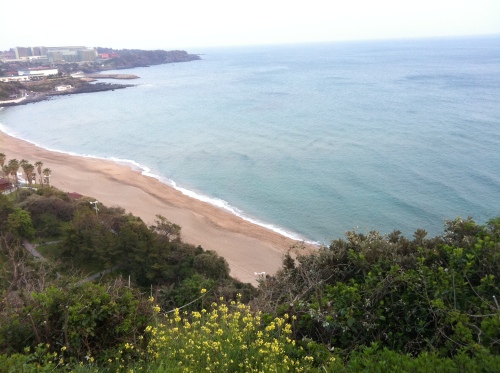 제주도