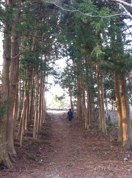 제주도