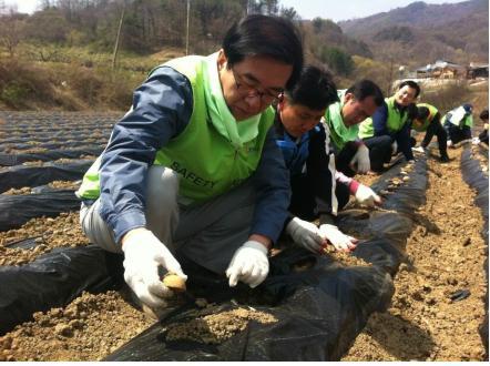 정일영 이사장 봉사활동 펼쳐 교통안전공단, 이색 농촌봉사활동 펼쳐… 사업 특성을 활용한 자동차무상점검 등의 활동 전개