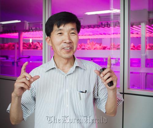Choi Kyu-hong of the Rural Development Administration’s vertical farming project in Suwon Yonhap News