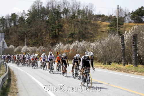 Cyclists compete during the Tour de Korea last year.   Tour de Korea