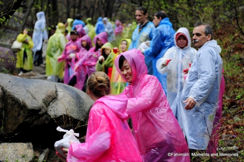SP
Volunteers brave the rain to wrap trees on Bukhan Mountain on Sunday.   Fahim Jan