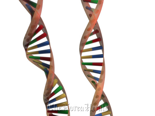 DNA