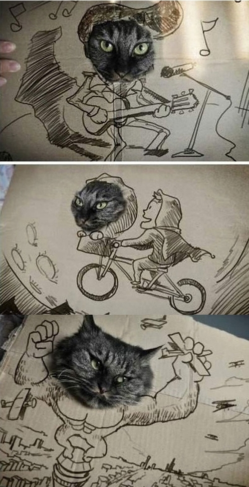 그만해 주인 놈아… 고양이 뿔났다